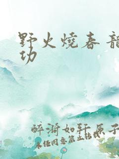 野火烧春 龙鸣功