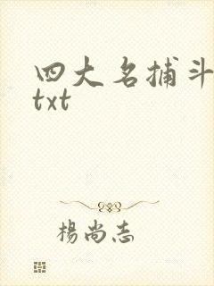 四大名捕斗将军txt