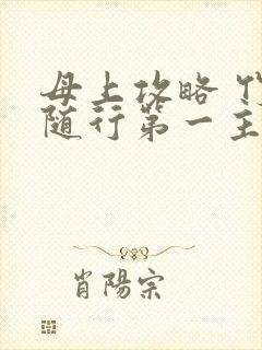 母上攻略 竹影随行第一主板