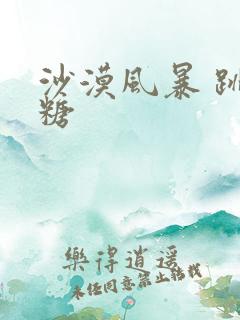 沙漠风暴 跳跳糖