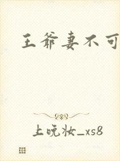 王爷妻不可欺