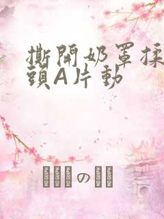 撕开奶罩揉吮奶头A片动