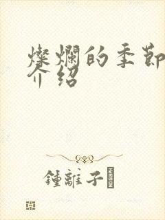 灿烂的季节剧情介绍