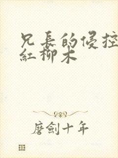 兄长的侵控by红柳木
