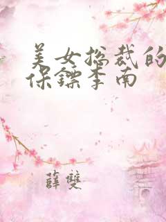 美女总裁的护花保镖李南