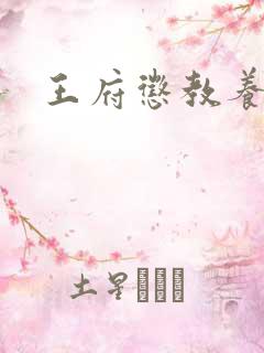 王府惩教养日常