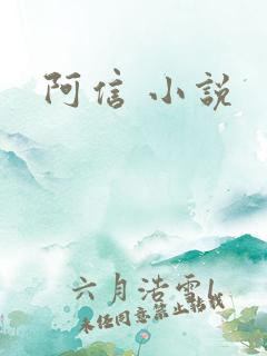 阿信 小说