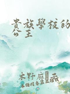 贵族学校的双面公主