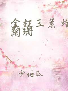 金枝玉叶 灯火阑珊