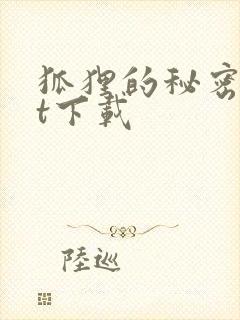 狐狸的秘密txt下载