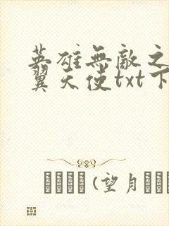 英雄无敌之十二翼天使txt下载