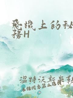 飞机上的秘密服务H