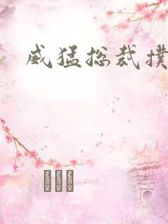 威猛总裁扑娇妻