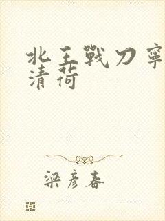 北王战刀宁北苏清荷