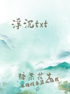 浮沉txt