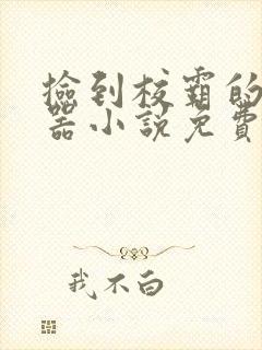 捡到校霸的遥控器小说免费阅读