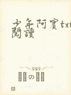 少年阿宾txt阅读