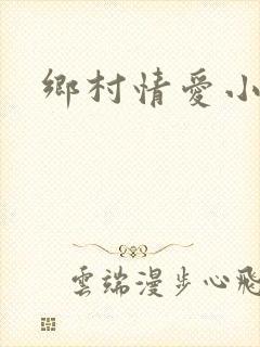 乡村情爱小说