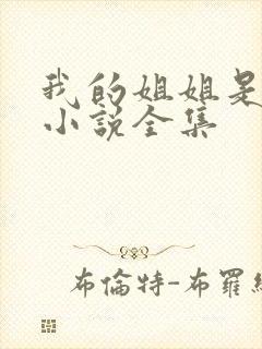 我的姐姐是尤物小说全集