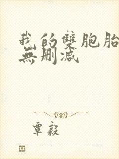 我的双胞胎老婆无删减