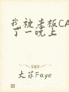 我被老板CAO了一晚上