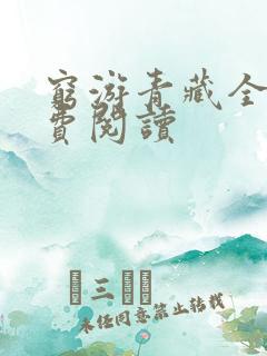 穷游青藏全文免费阅读