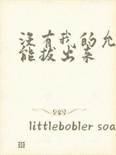 没有我的允许不能拔出来