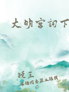 大明宫词下载