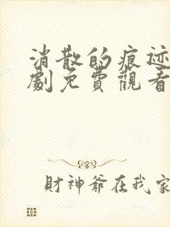 消散的痕迹电视剧免费观看完整版