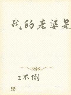 我的老婆是卧底