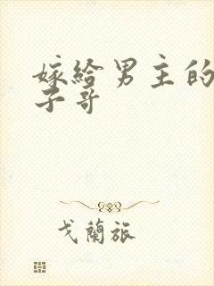 嫁给男主的病秧子哥