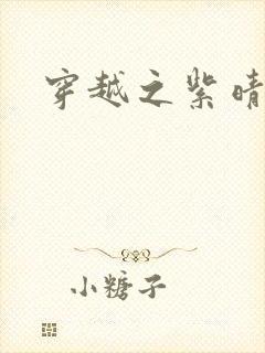 穿越之紫晴郡主