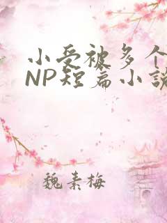 小受被多个攻强NP短篇小说