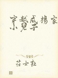 穿越成杨家将最小儿子