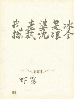 我老婆是冰山女总裁沈浪全集