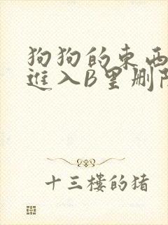 狗狗的东西直接进入B里删除