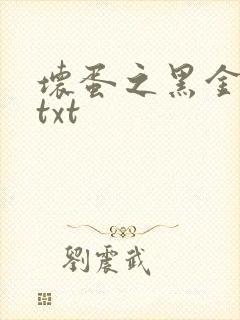 坏蛋之黑金帝国txt