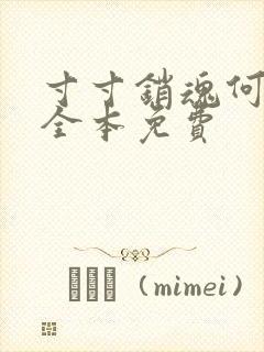 寸寸销魂何生祥全本免费