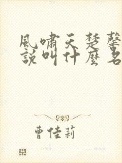风啸天楚馨月小说叫什么名字