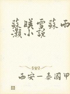 苏映雪苏雨柔苏灏小说