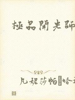 极品开光师阅读