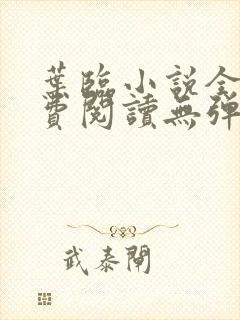 叶临小说全文免费阅读无弹窗