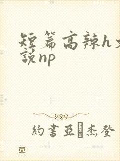 短篇高辣h文小说np