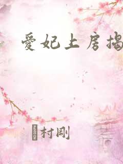 爱妃上房揭瓦