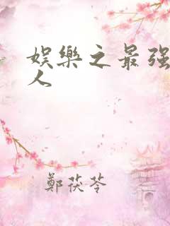 娱乐之最强经纪人