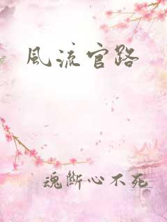 风流官路