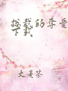 总裁的夺爱游戏下载