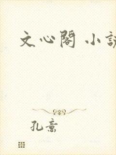 文心阁 小说