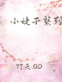 小婕子系列小说