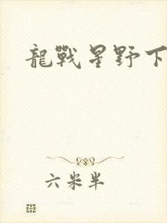 龙战星野下载